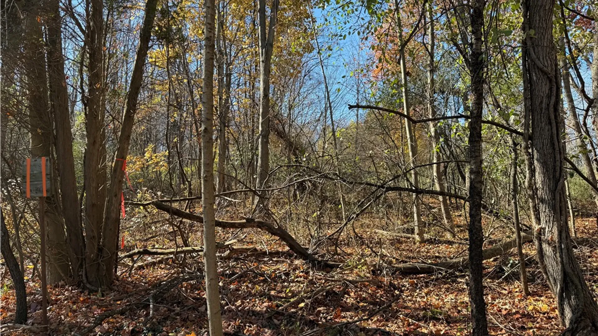 Property at Willowdale Drive, Macedon, NY 14502 26