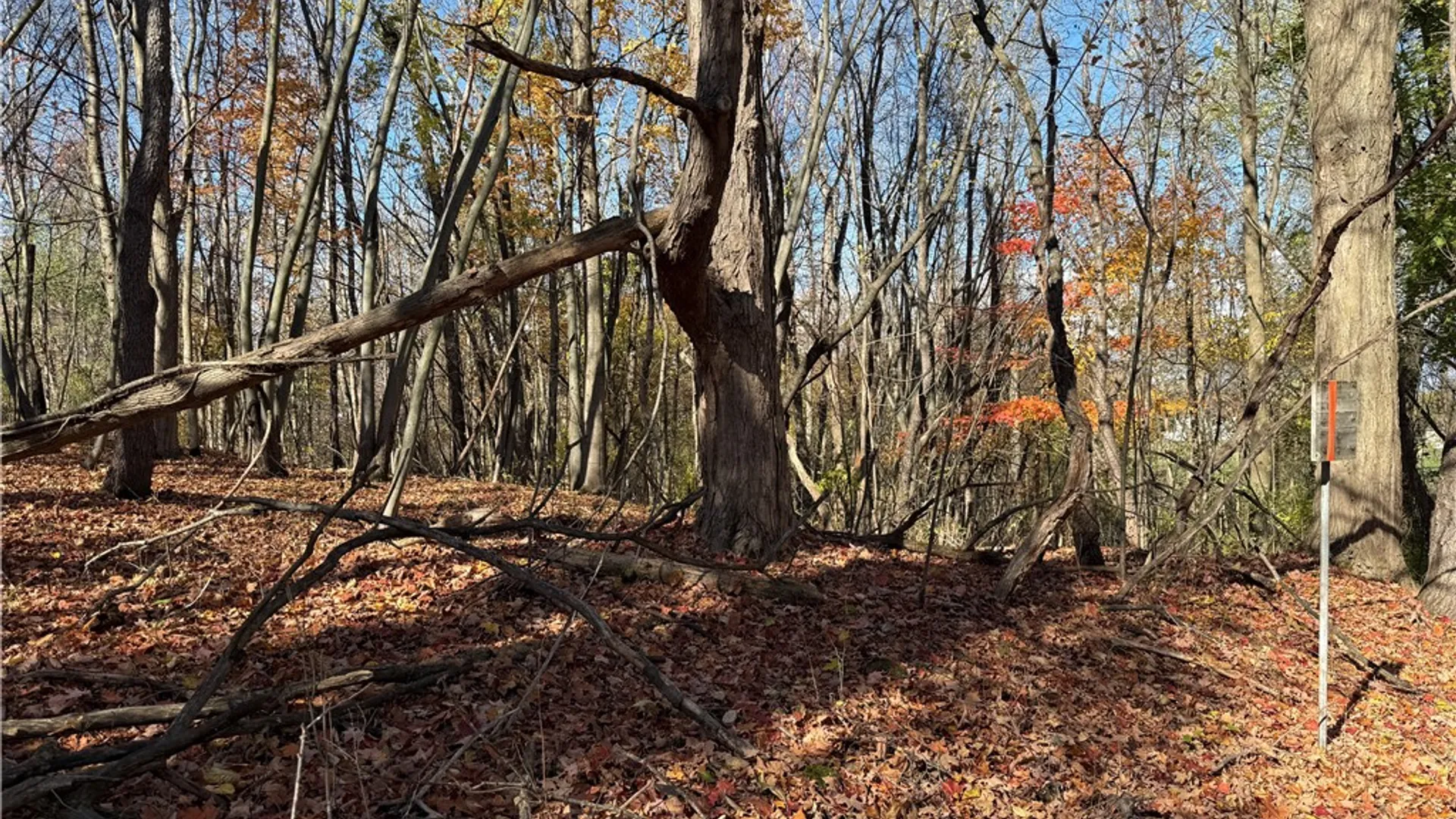 Property at Willowdale Drive, Macedon, NY 14502 27