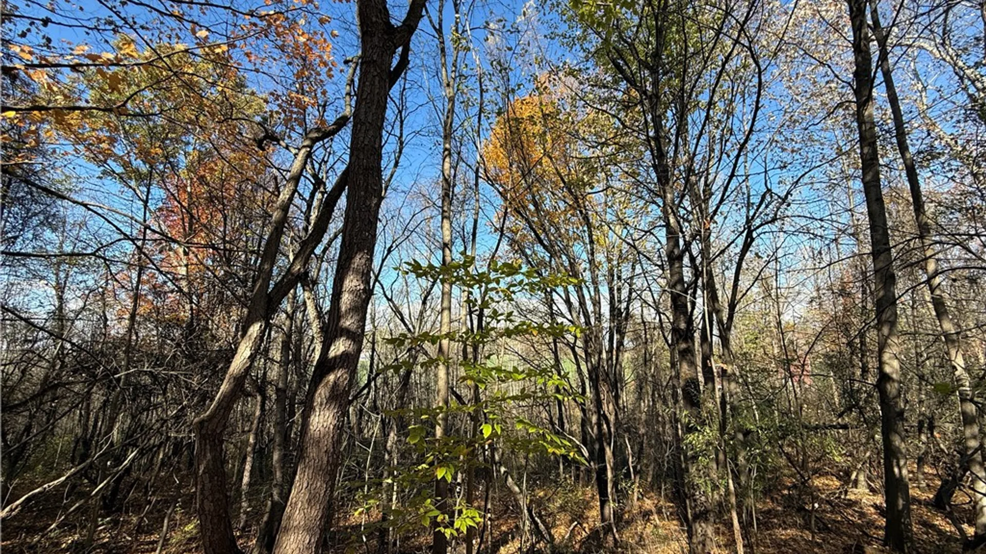 Property at Willowdale Drive, Macedon, NY 14502 28