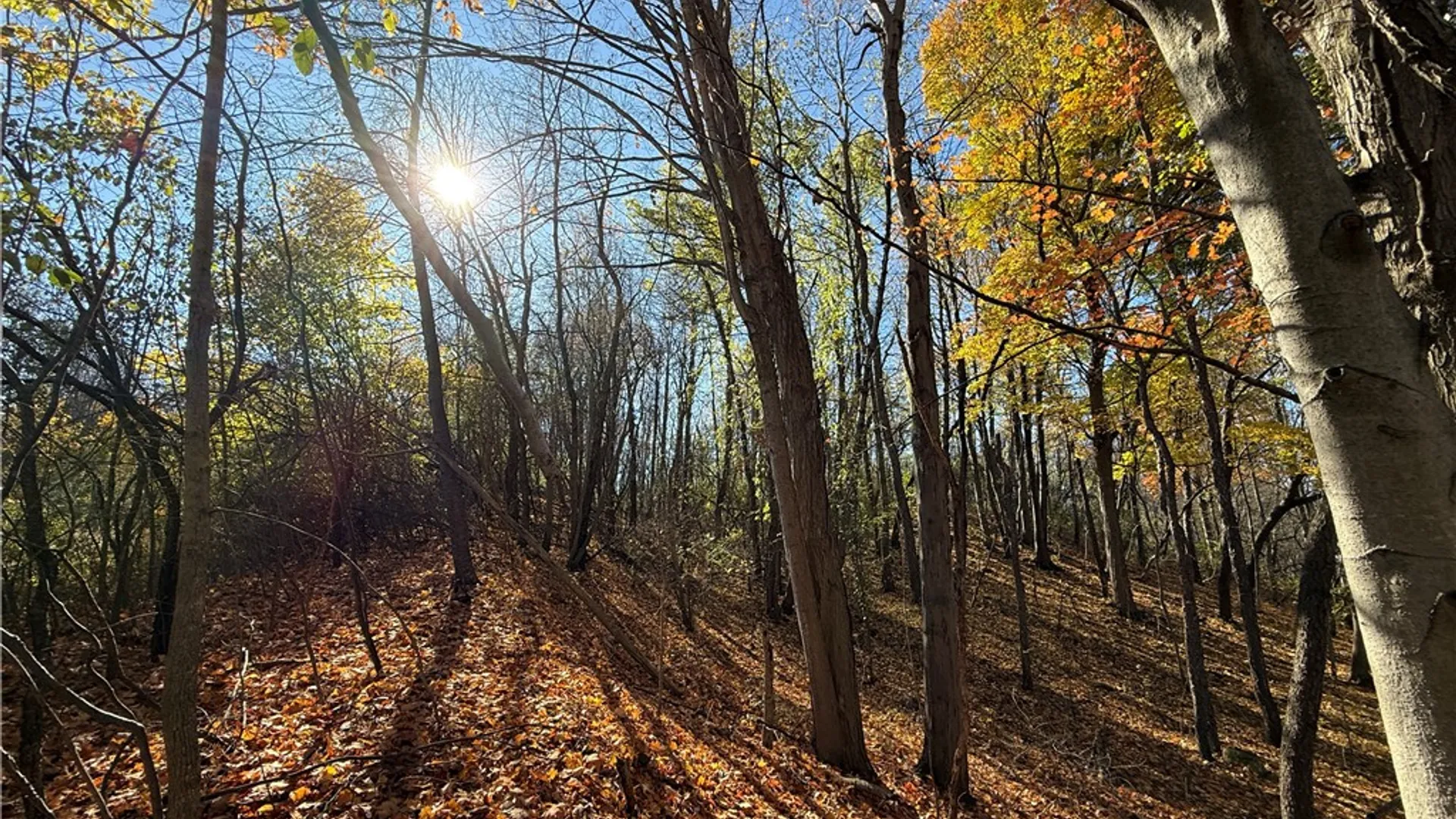 Property at Willowdale Drive, Macedon, NY 14502 29