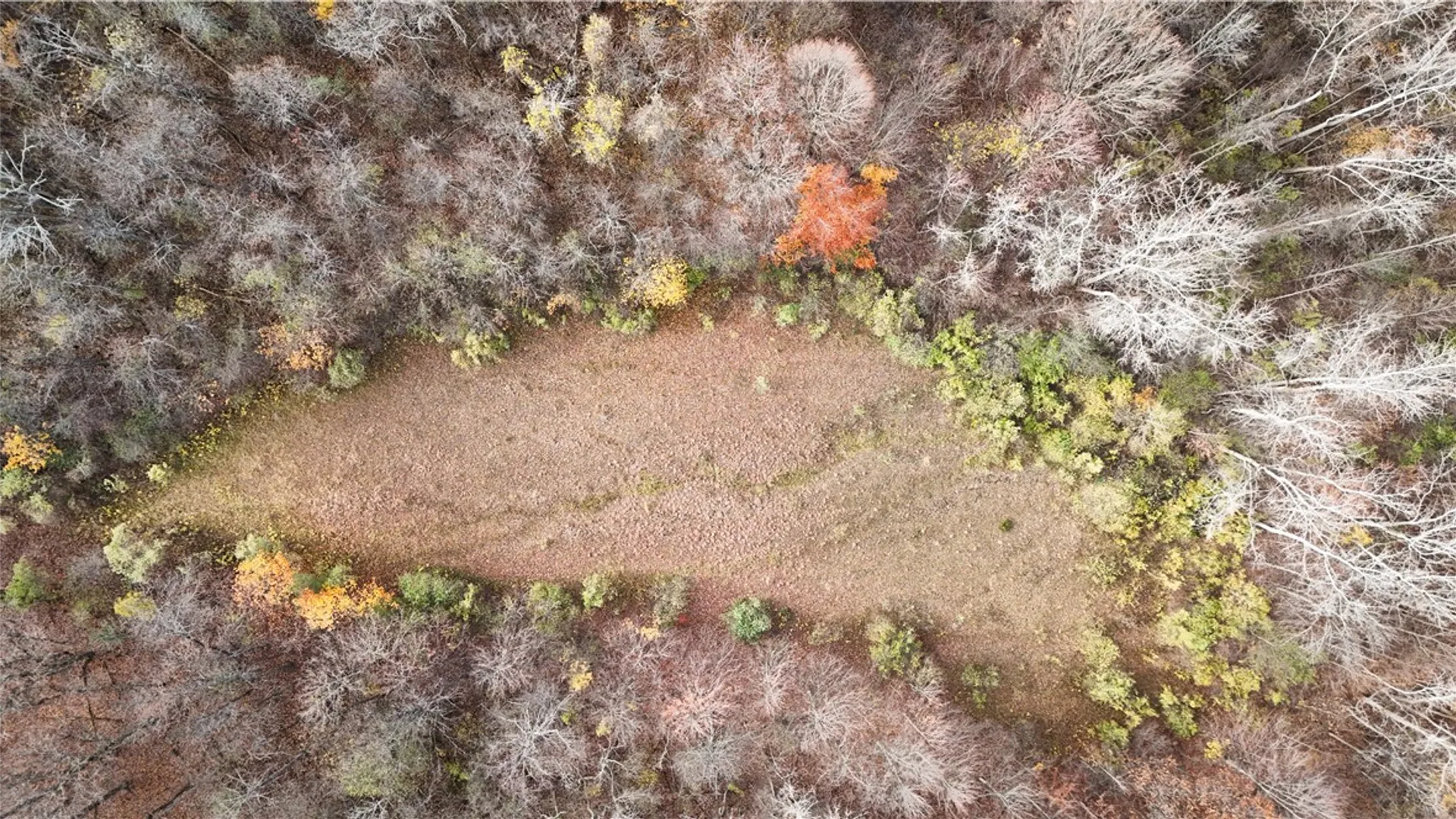 Property at Willowdale Drive, Macedon, NY 14502 3