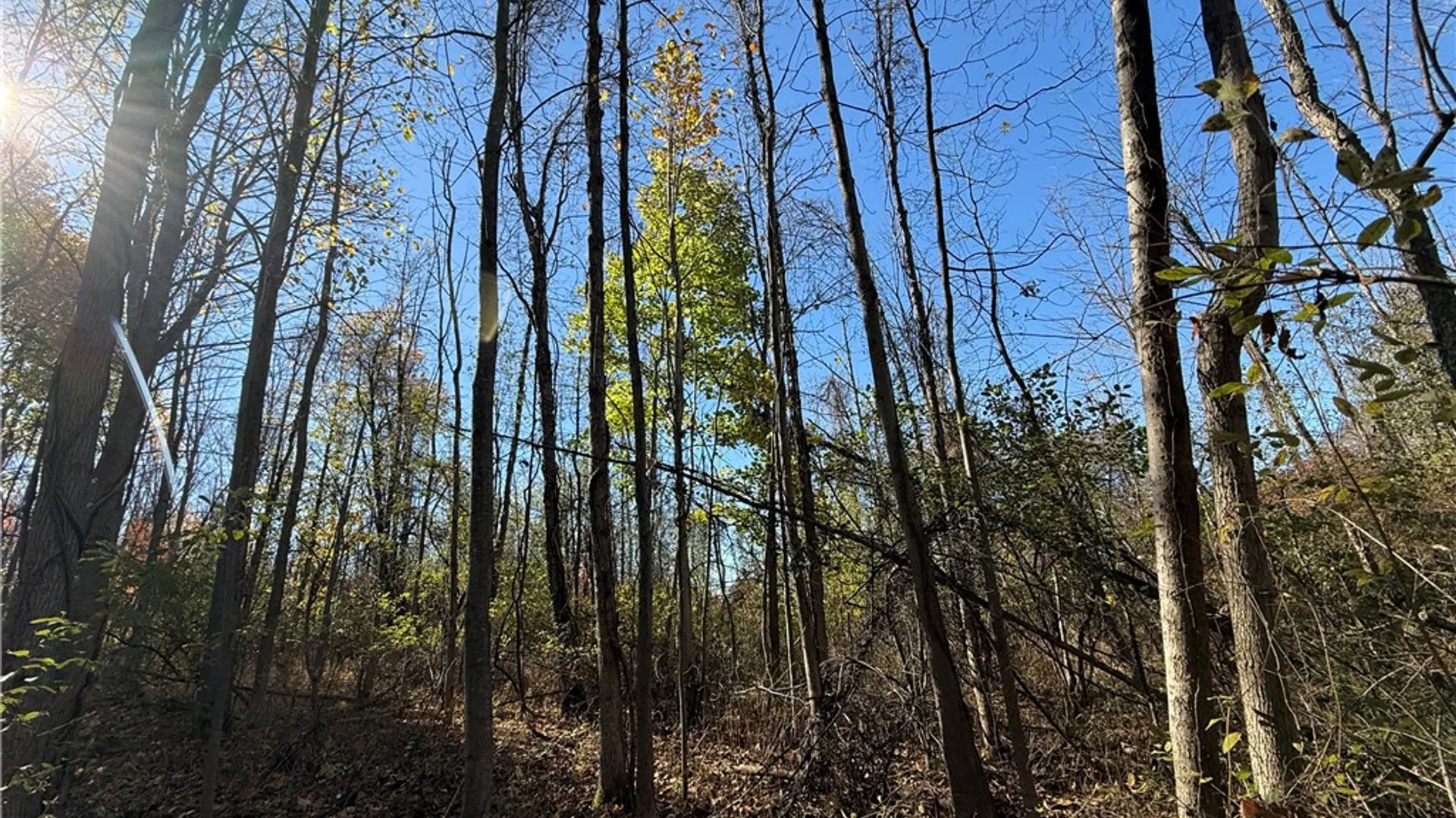 Property at Willowdale Drive, Macedon, NY 14502 30