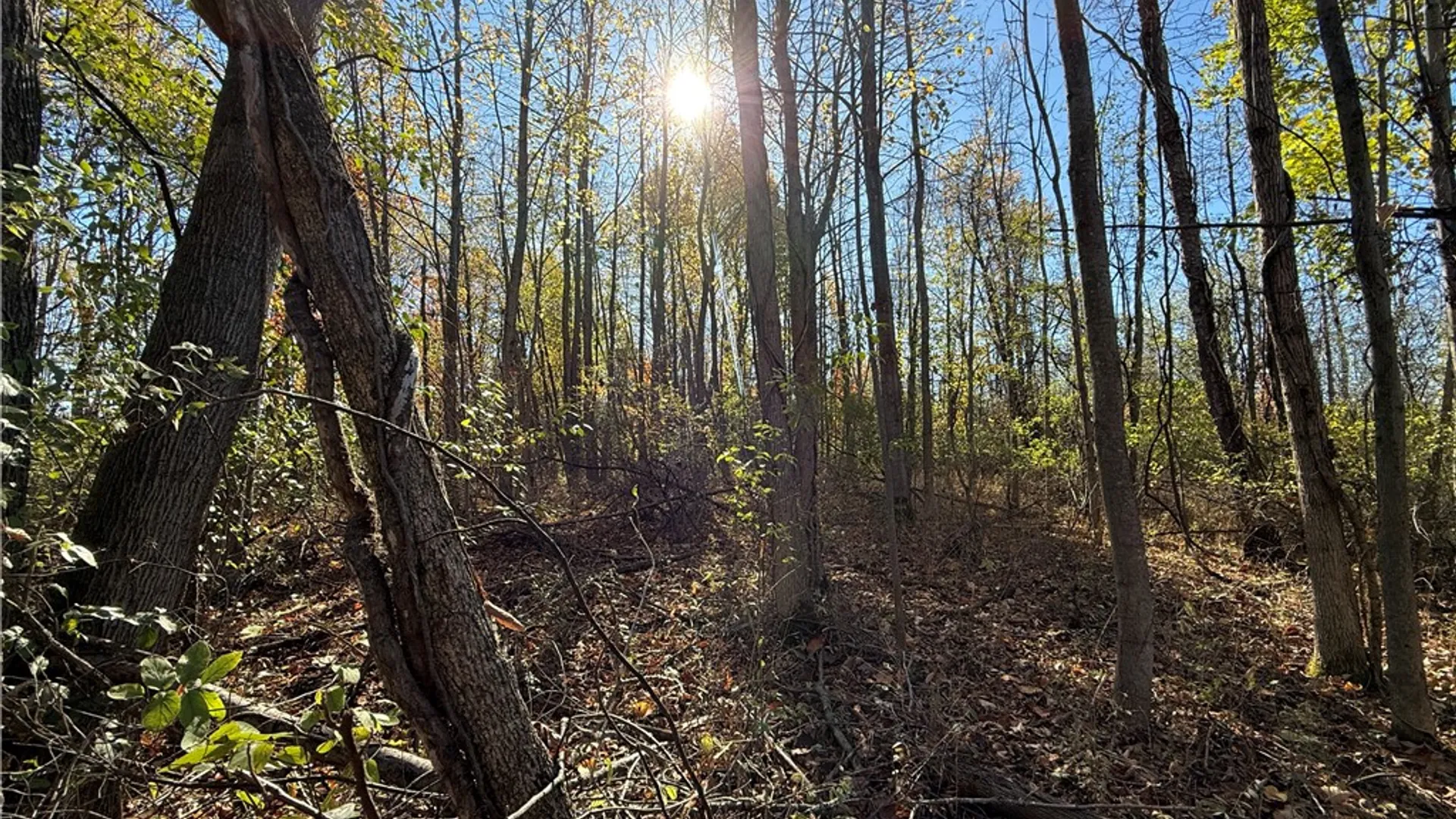 Property at Willowdale Drive, Macedon, NY 14502 31