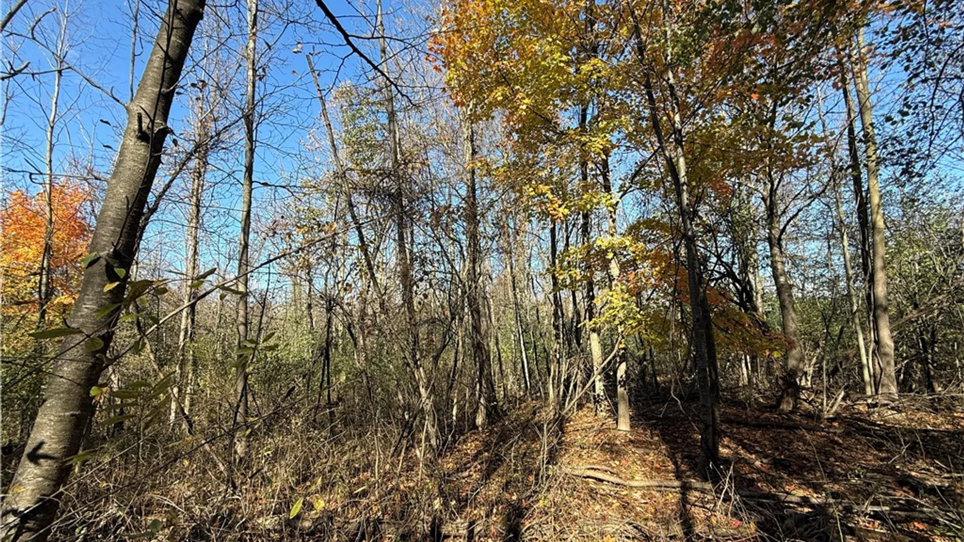 Property at Willowdale Drive, Macedon, NY 14502 32