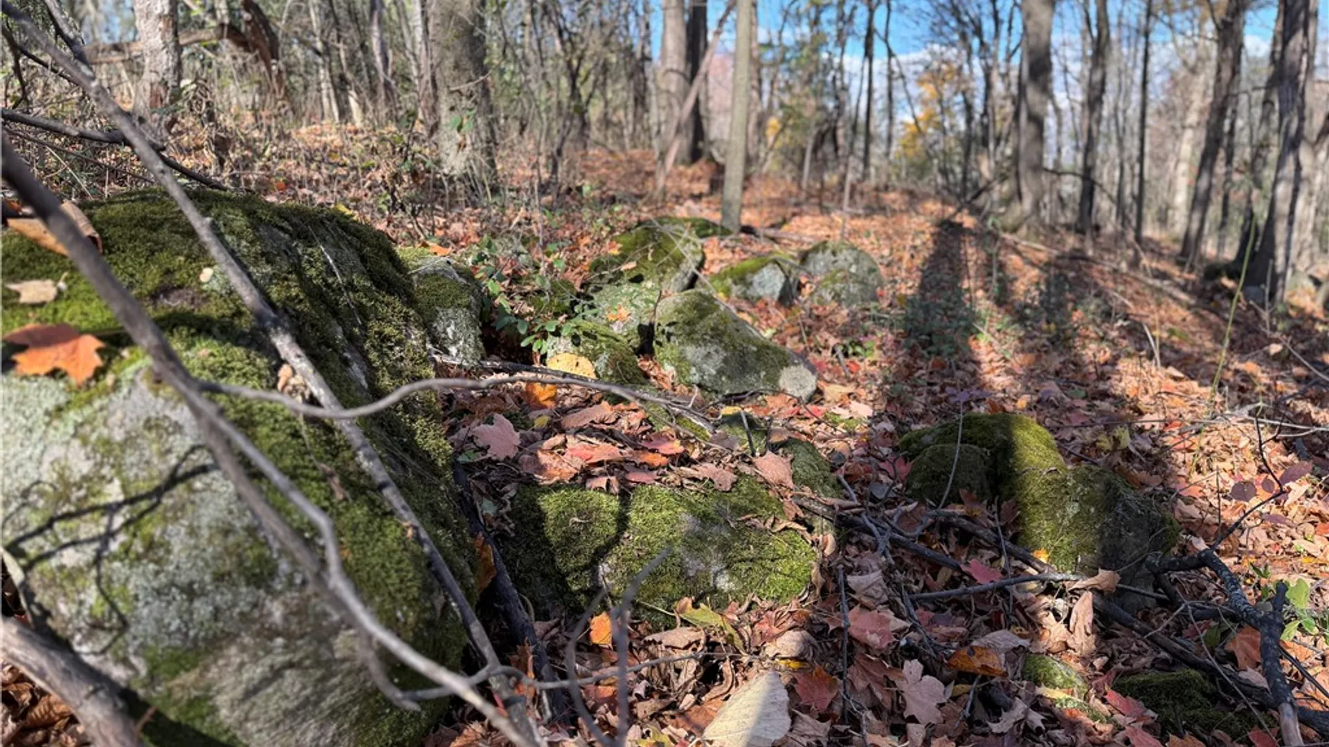 Property at Willowdale Drive, Macedon, NY 14502 33