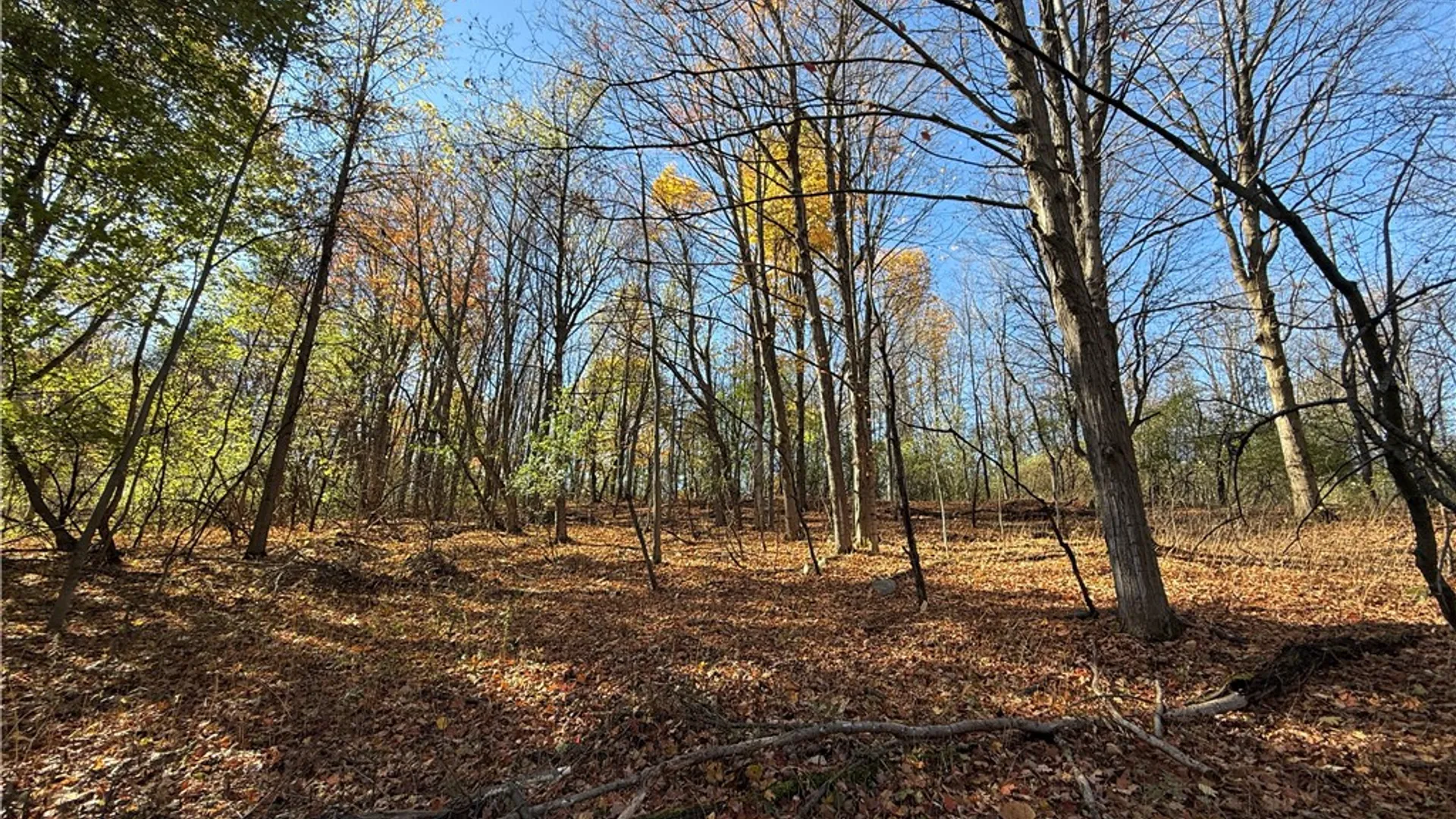 Property at Willowdale Drive, Macedon, NY 14502 34