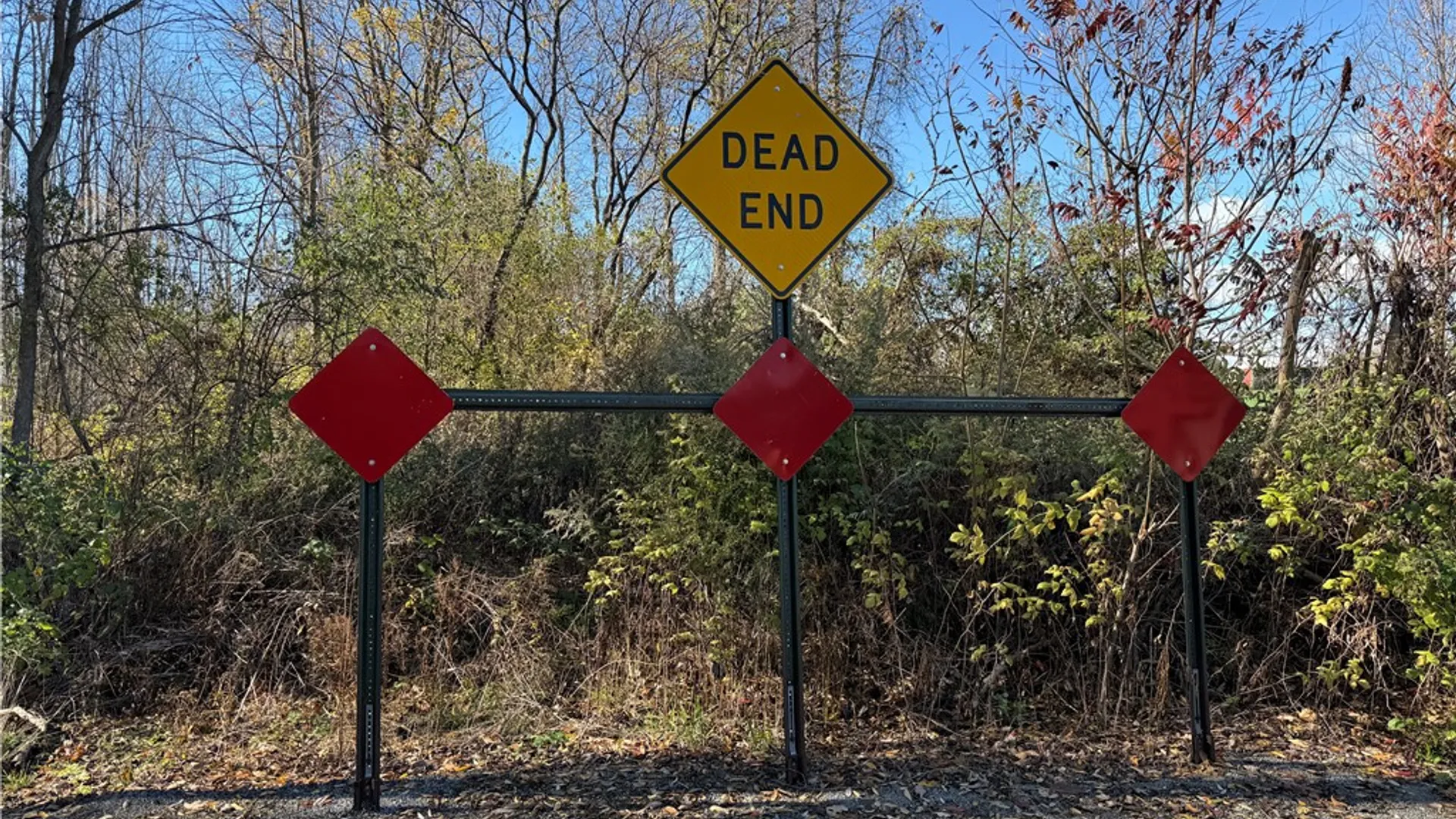 Property at Willowdale Drive, Macedon, NY 14502 36