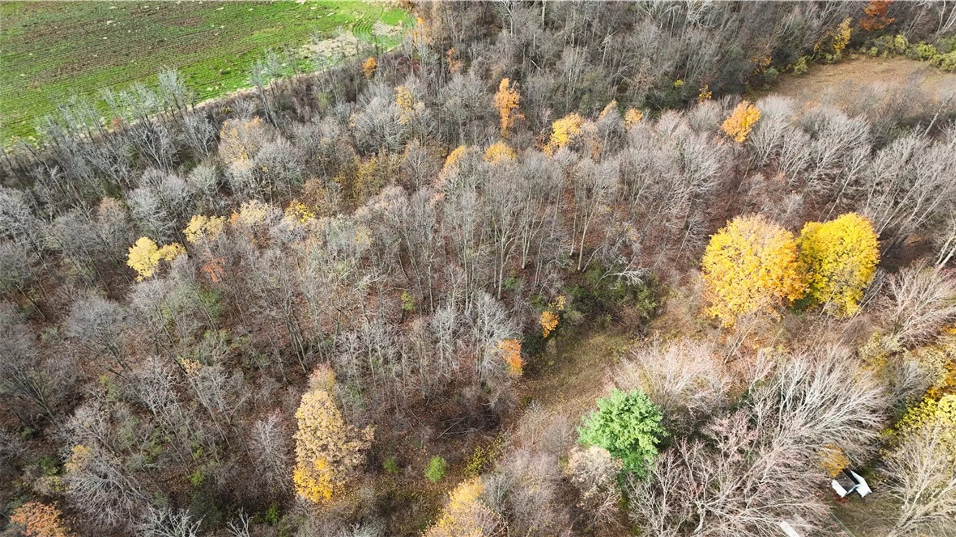 Property at Willowdale Drive, Macedon, NY 14502 45