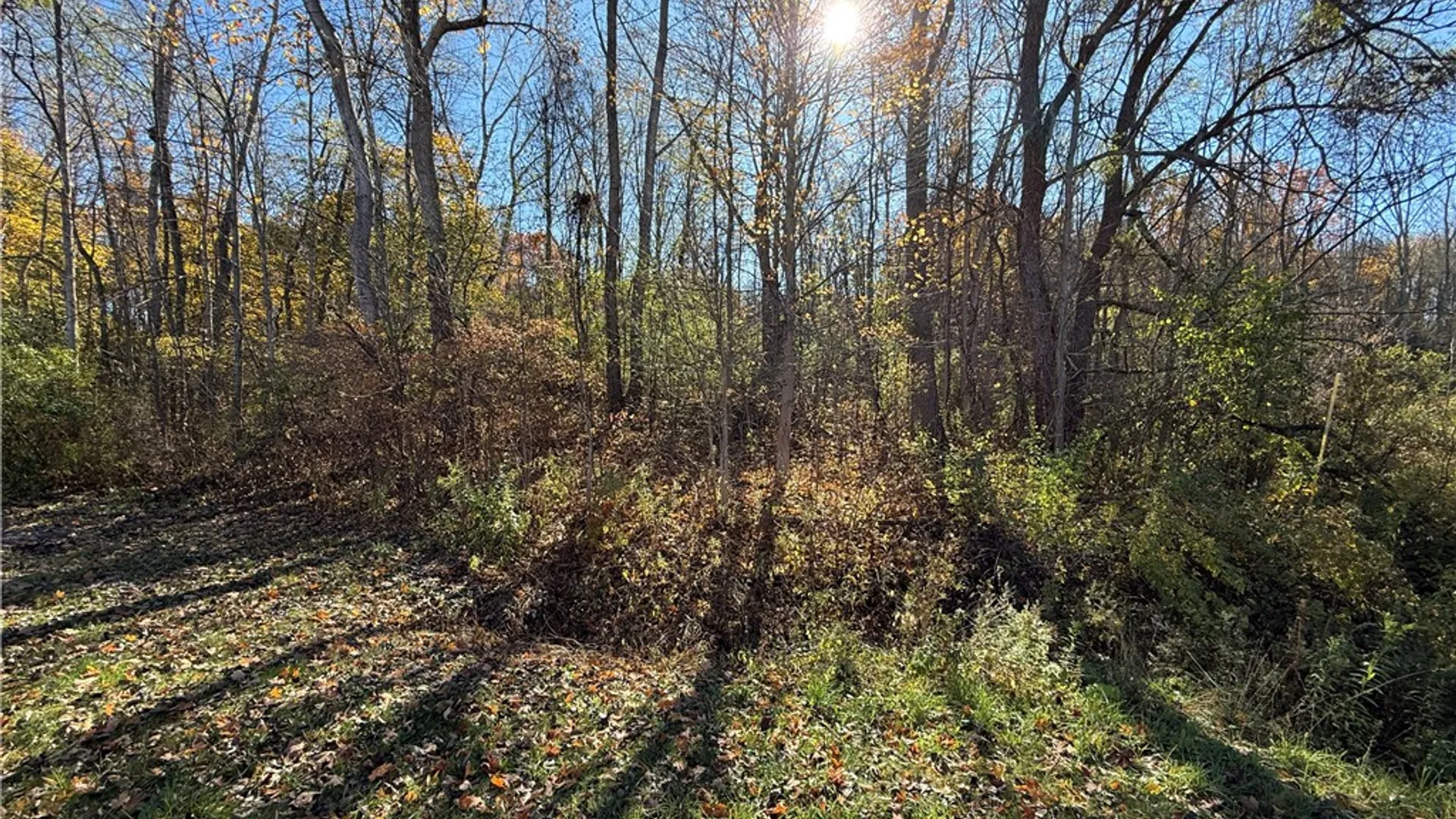 Property at Willowdale Drive, Macedon, NY 14502 9