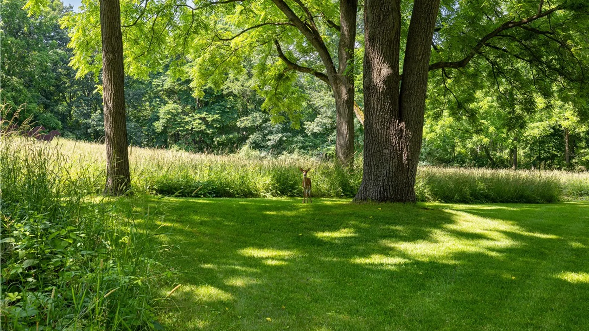 Property at 1050 Strong Road, Victor, NY 14564 49