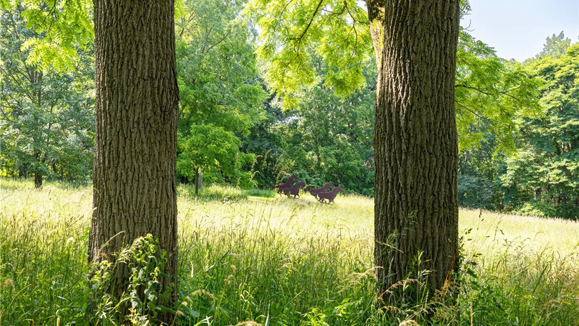 Property at 1050 Strong Road, Victor, NY 14564 50