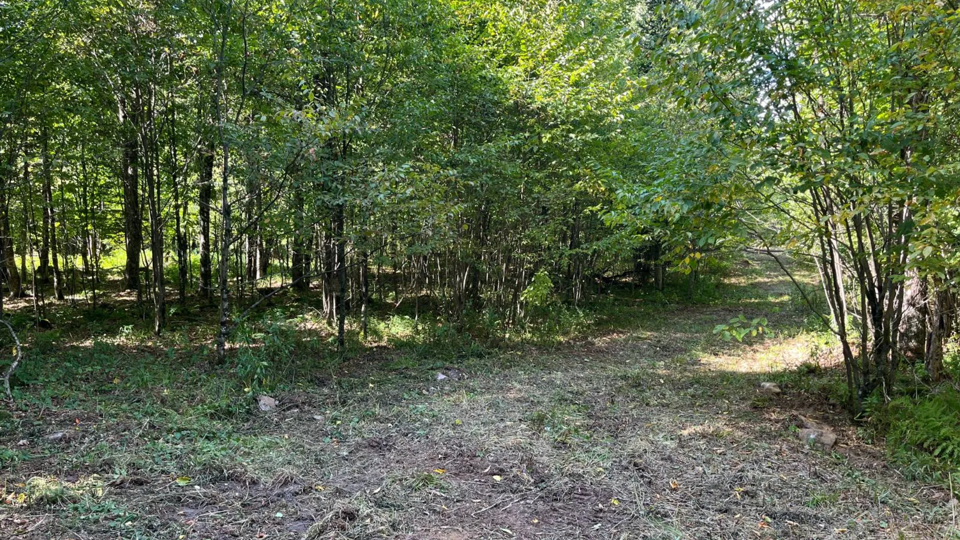 Property at 875 Picketville Rd, Parishville, NY 13672 26