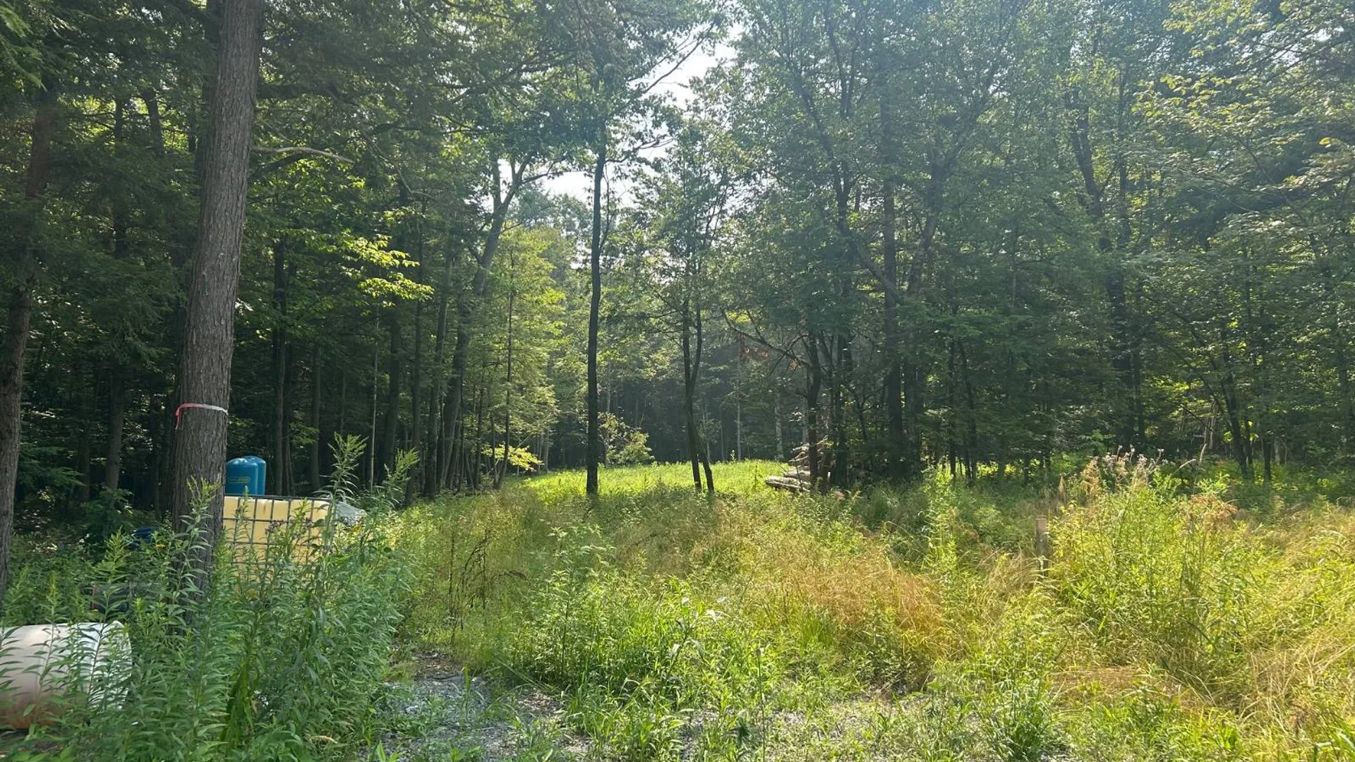 Property at 00 Church Road, Fultonville, NY 12072 2