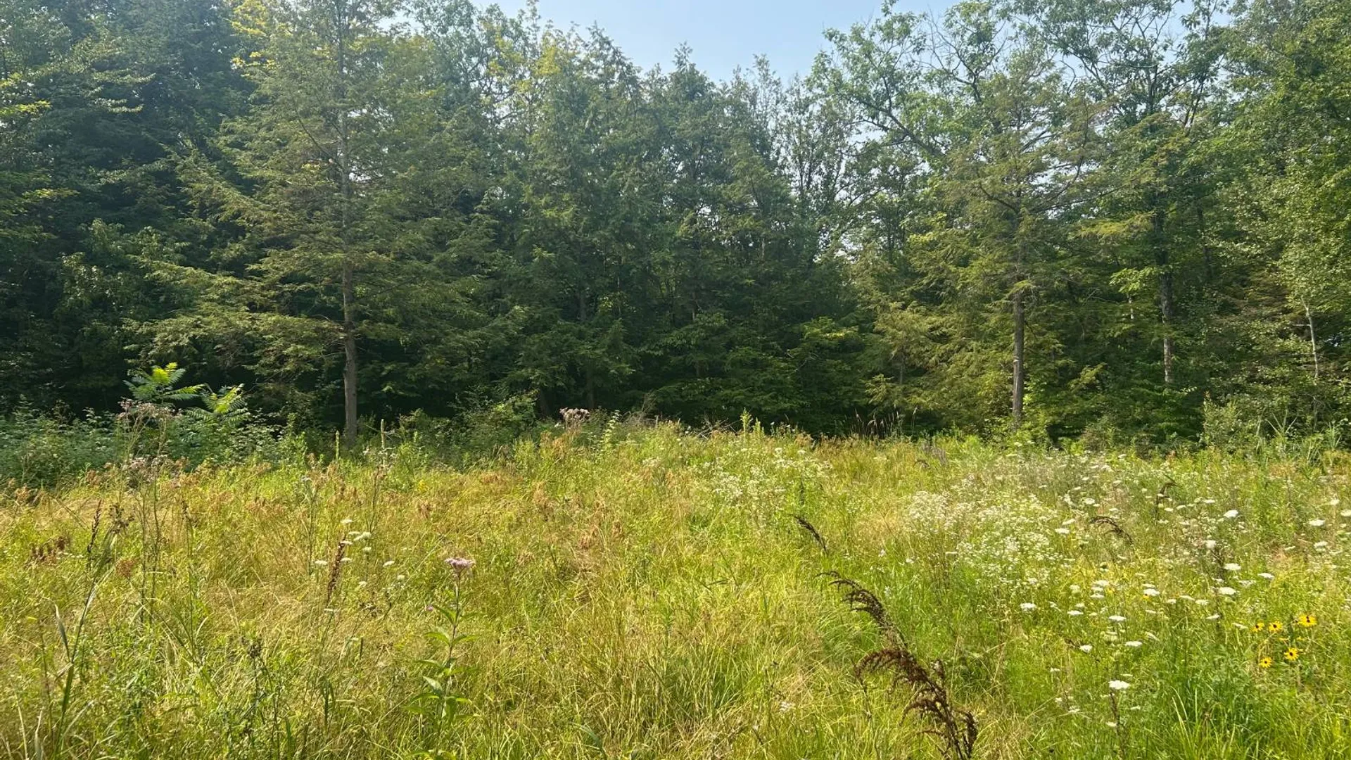 Property at 00 Church Road, Fultonville, NY 12072 5