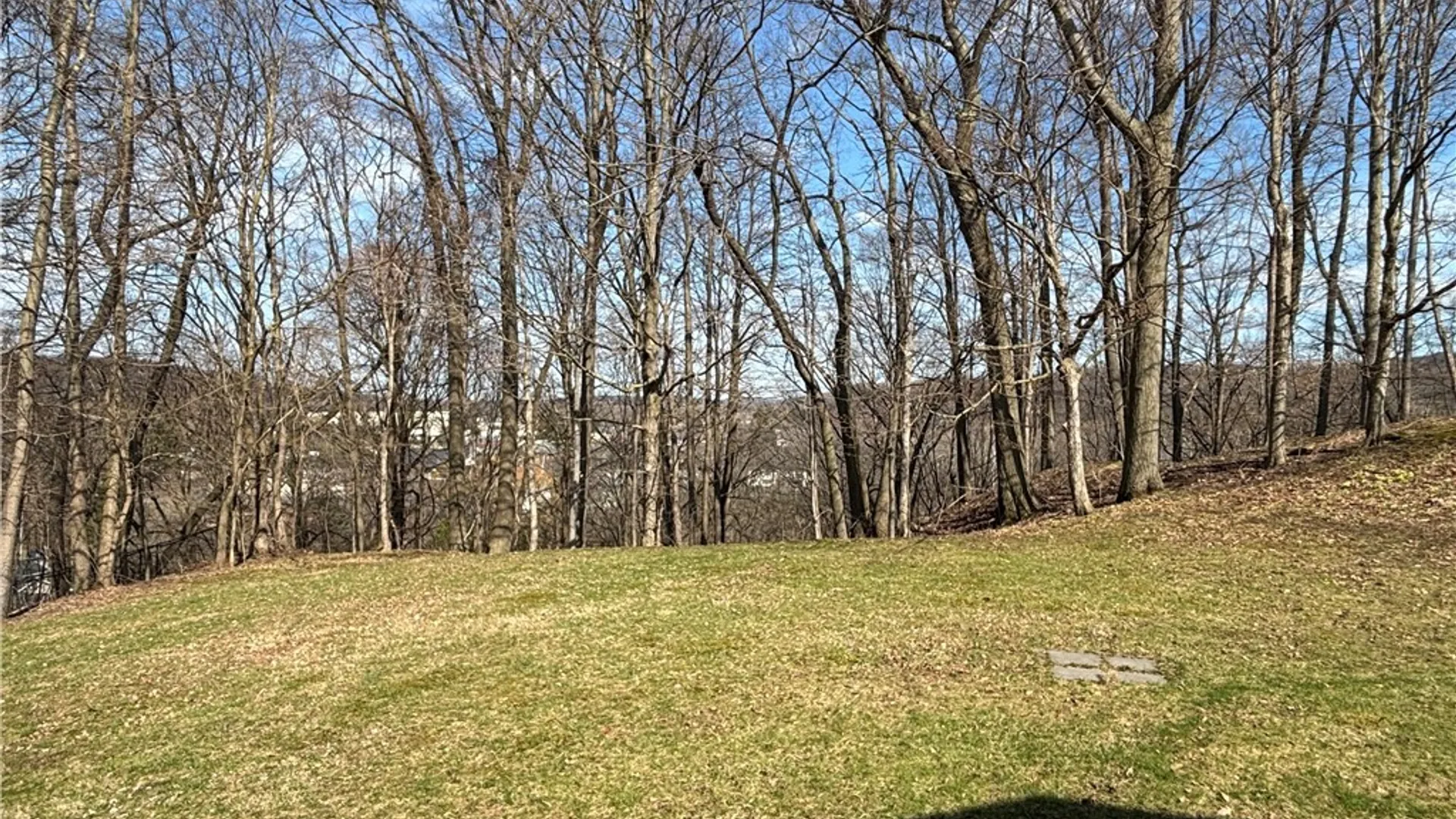 Property at 126 Jay Street, Sullivan, NY 13037 37