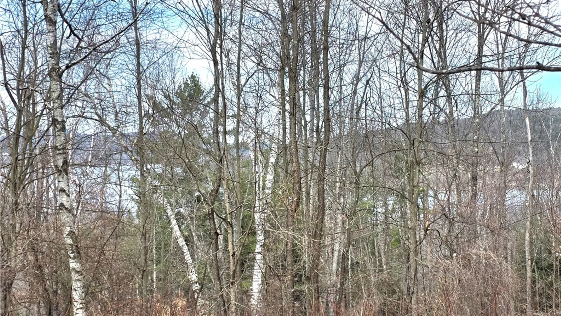 Property at 1412 County Highway 31, Middlefield, NY 13326 9