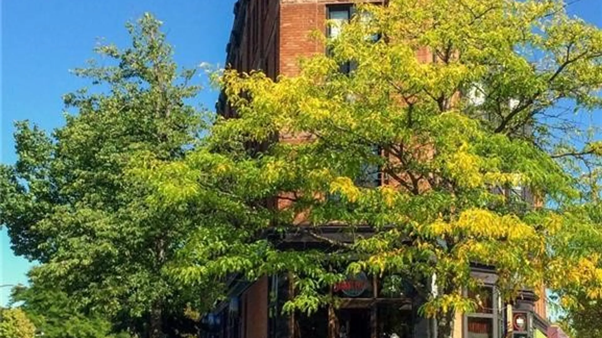 Property at 397-399 University Avenue, Rochester, NY 14607 22