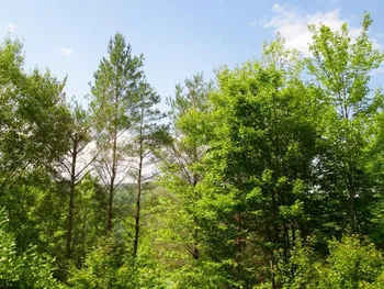 John B Hewitt Spur, Roxbury, NY 12421
