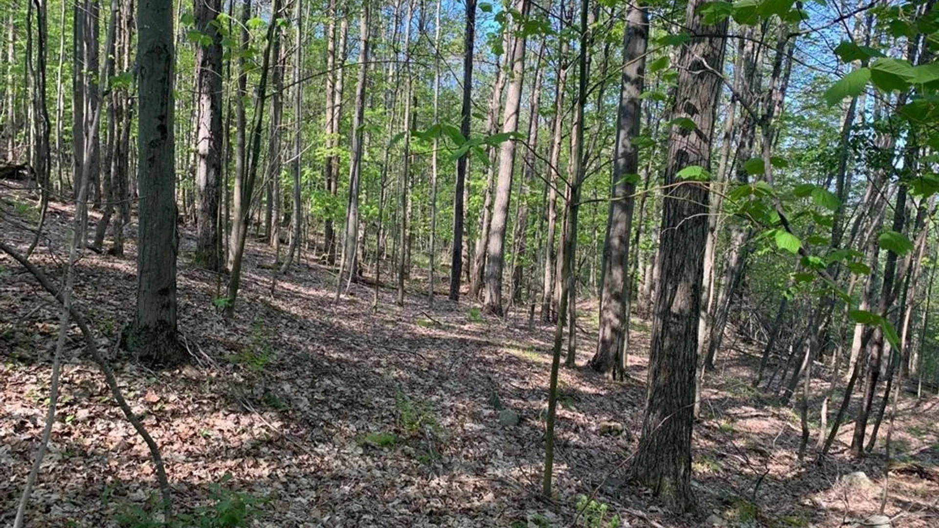 Property at John B Hewitt Spur, Roxbury, NY 12421 2