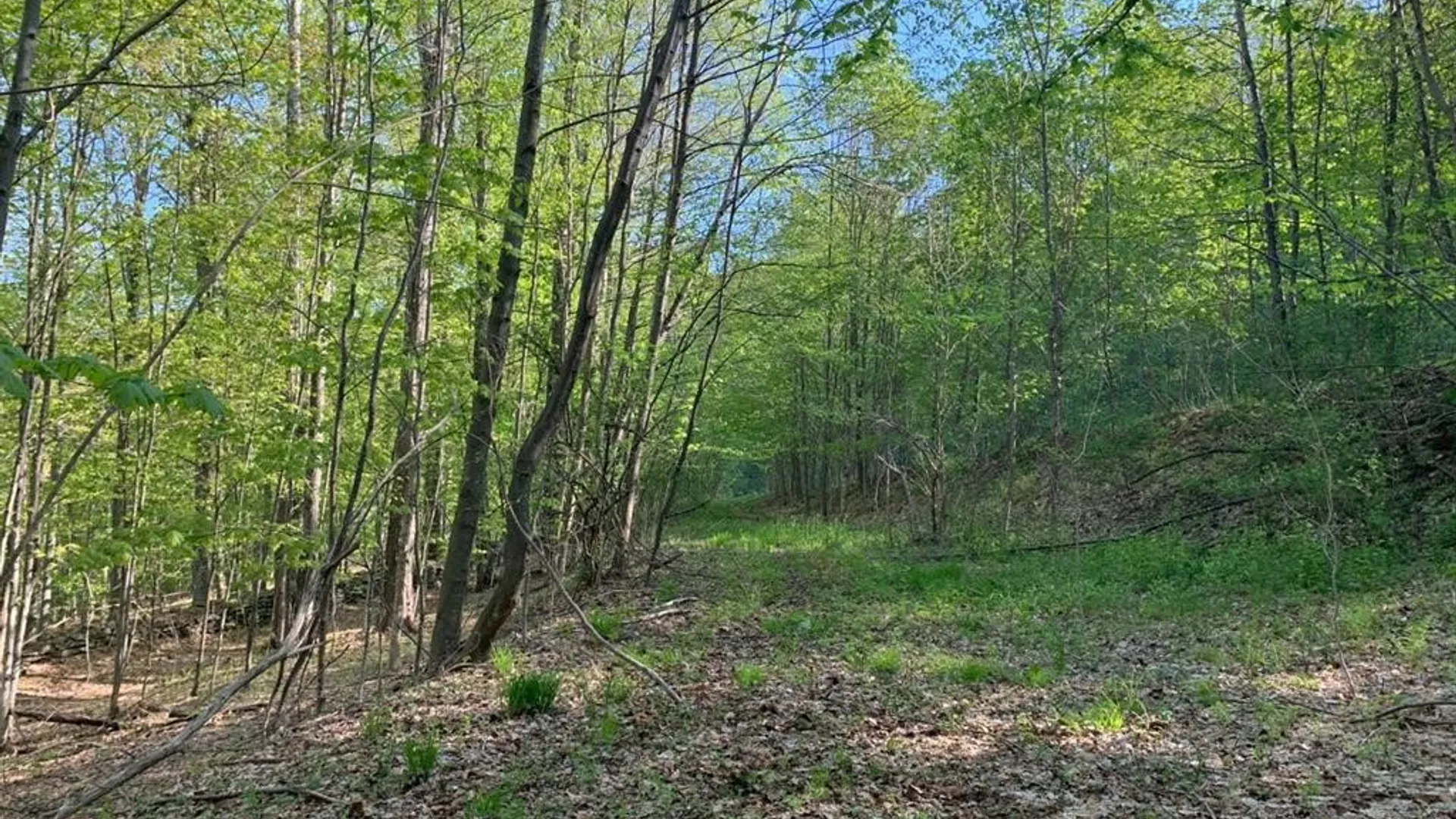 Property at John B Hewitt Spur, Roxbury, NY 12421 5