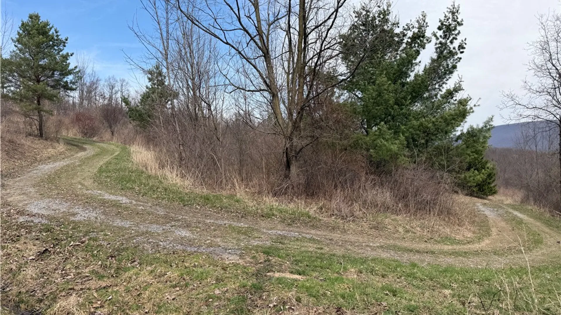 Property at 7475 County Road 12, Naples, NY 14512 7