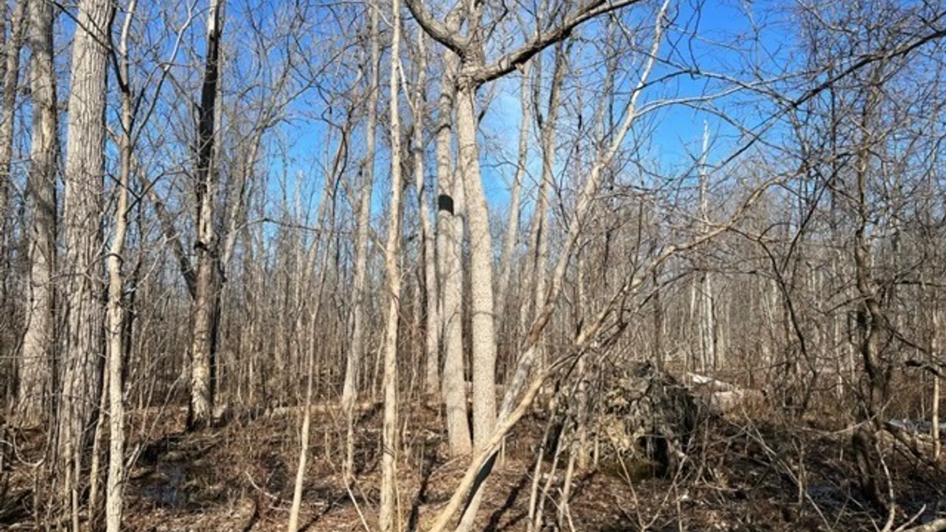 Property at 0 Wilson Avenue, Lancaster, NY 14086 3