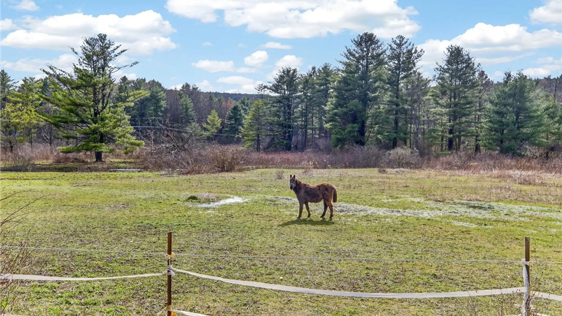 Property at 769 Midline Road, Dryden, NY 13068 9