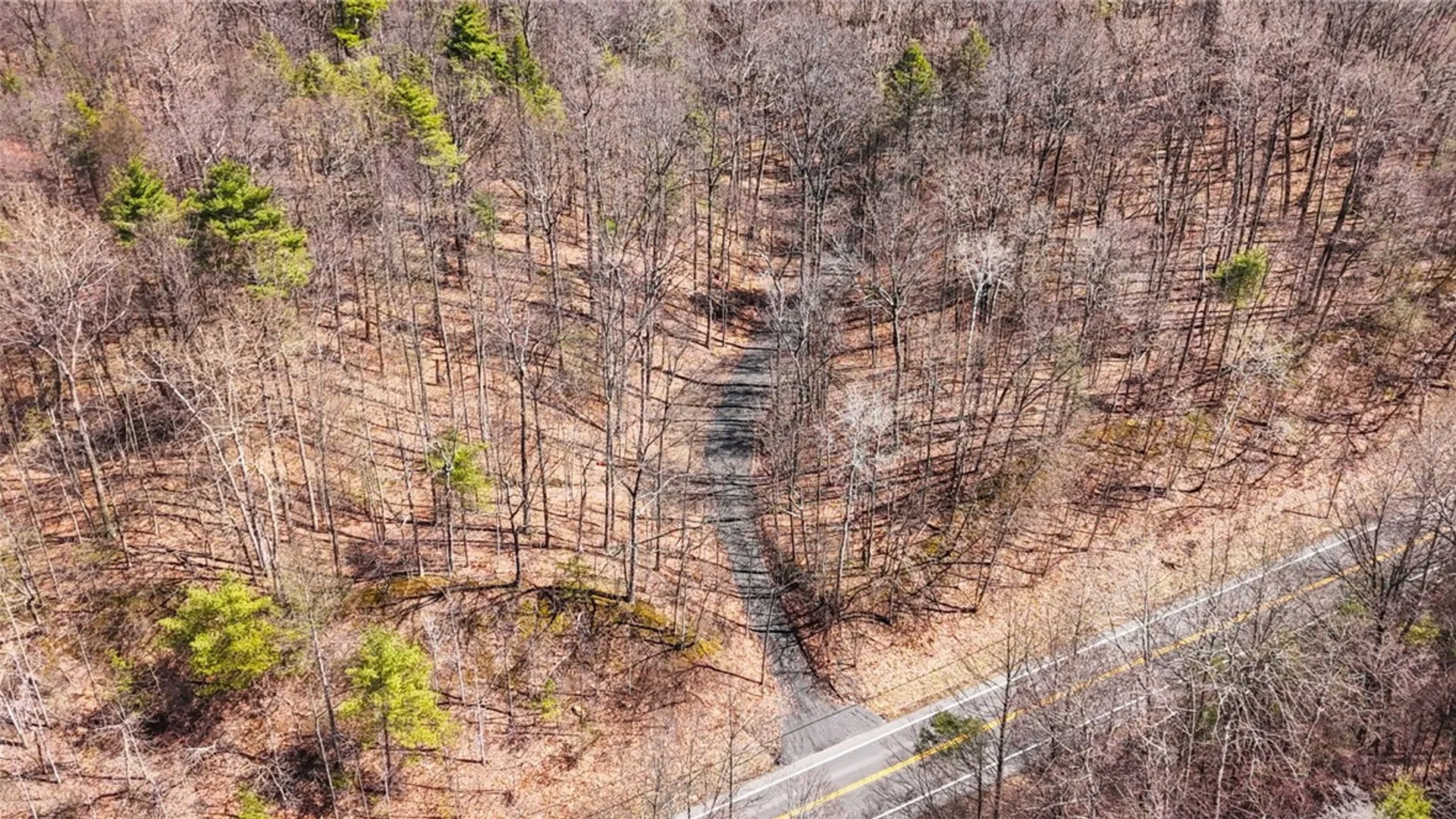 Property at 0 Elm Beach Road, Romulus, NY 14521 12