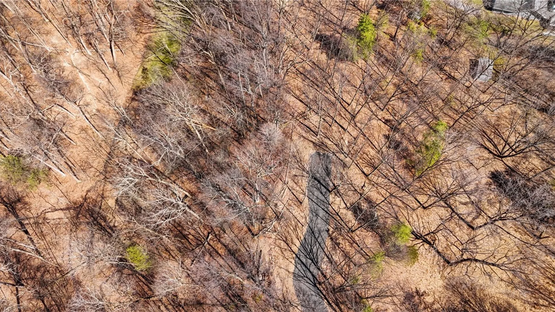 Property at 0 Elm Beach Road, Romulus, NY 14521 15