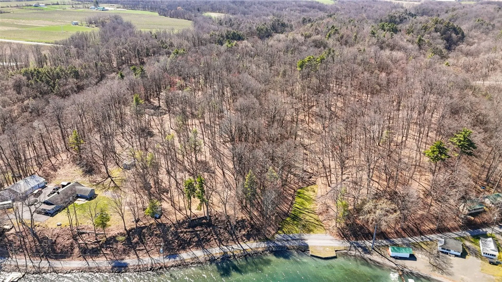 Property at 0 Elm Beach Road, Romulus, NY 14521 16