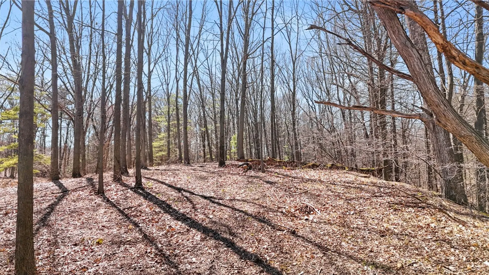 Property at 0 Elm Beach Road, Romulus, NY 14521 17