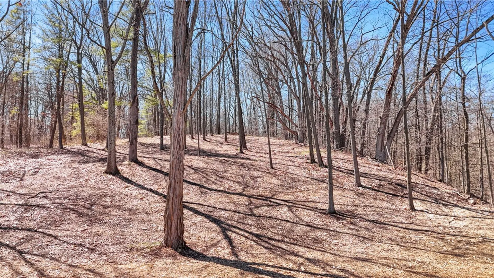 Property at 0 Elm Beach Road, Romulus, NY 14521 18