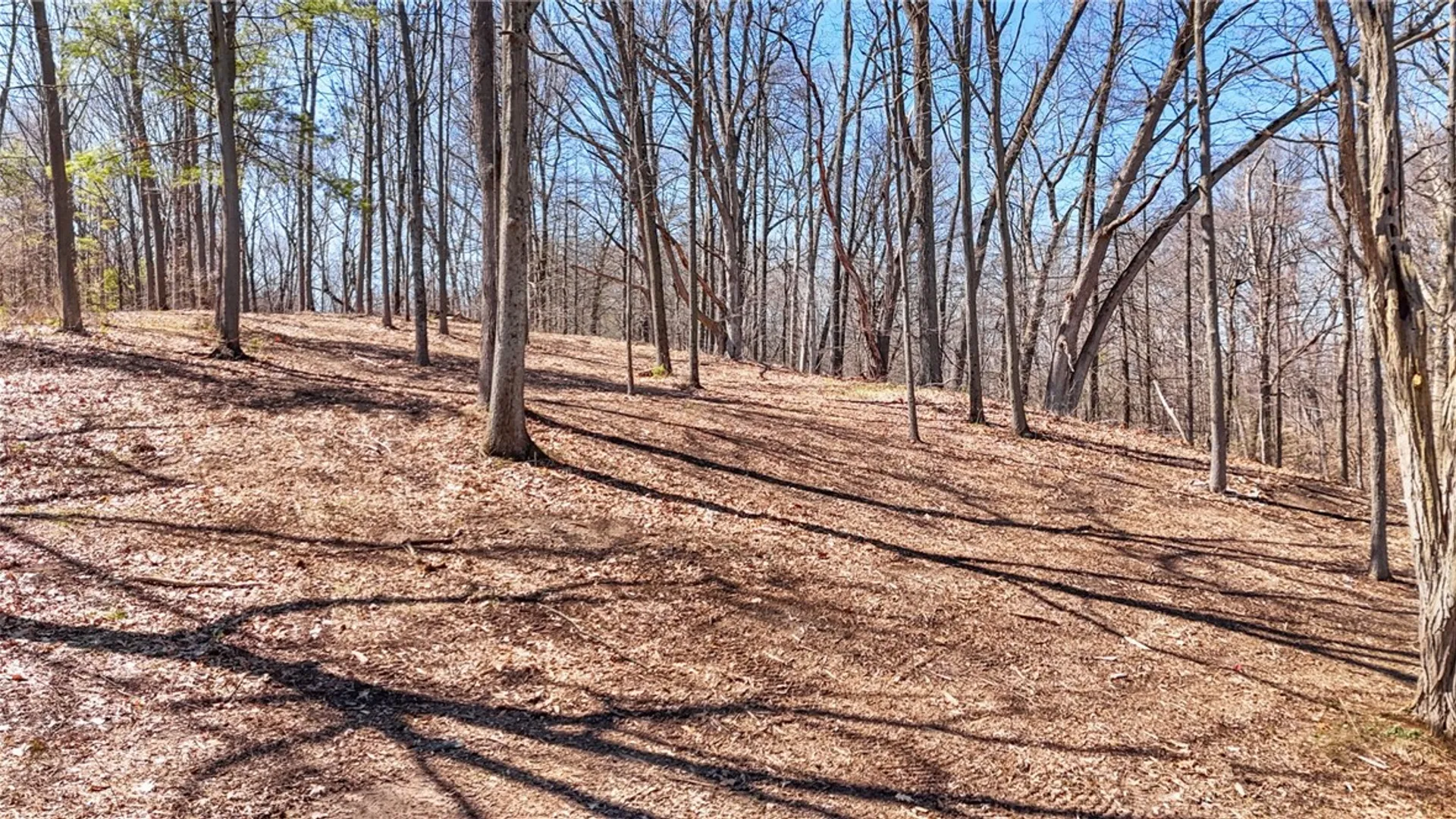 Property at 0 Elm Beach Road, Romulus, NY 14521 19