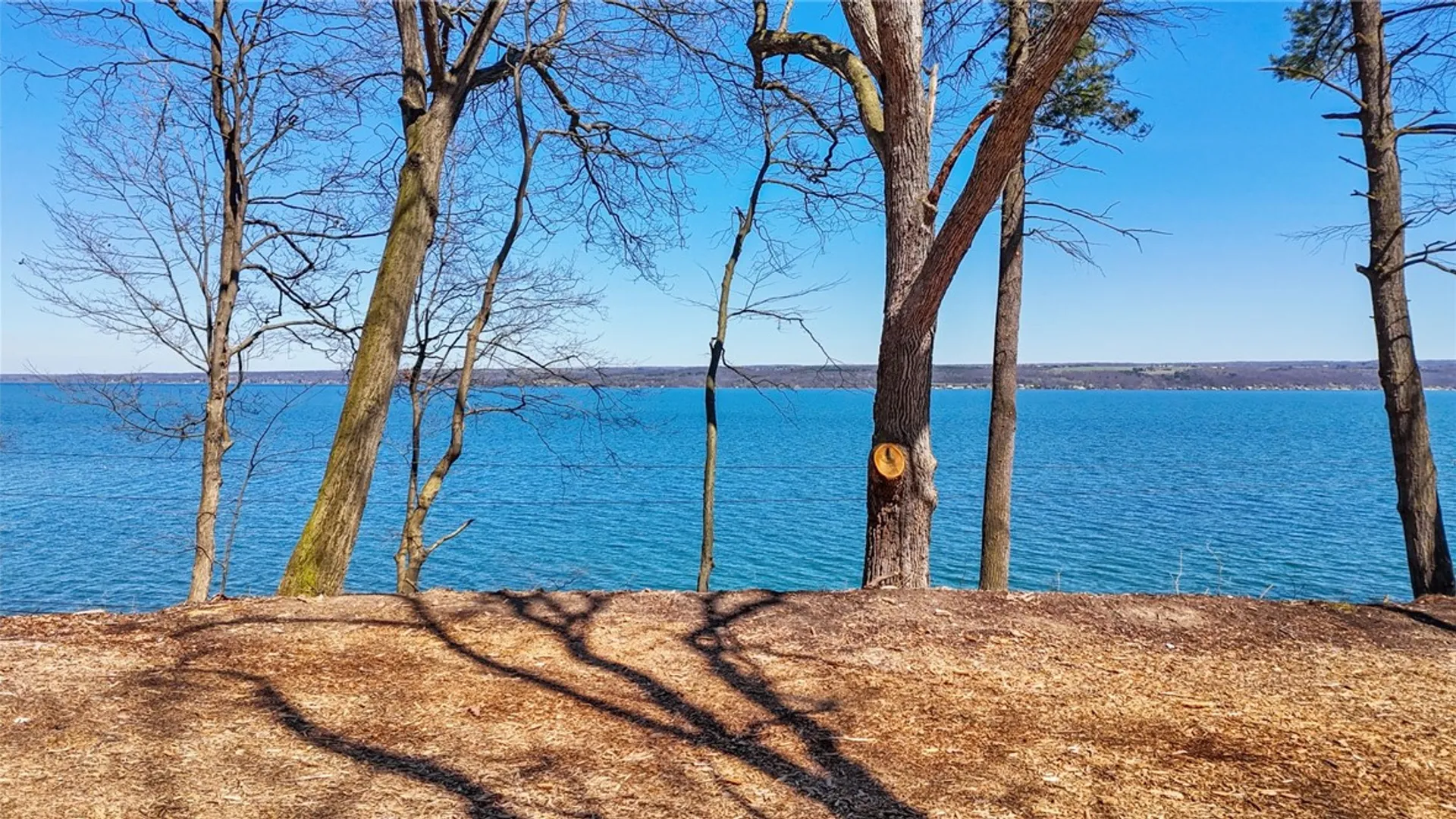 Property at 0 Elm Beach Road, Romulus, NY 14521 4