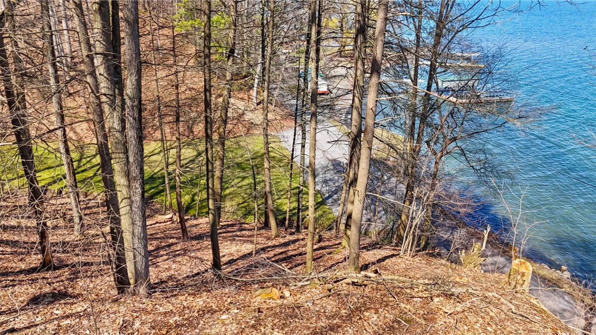 Property at 0 Elm Beach Road, Romulus, NY 14521 6