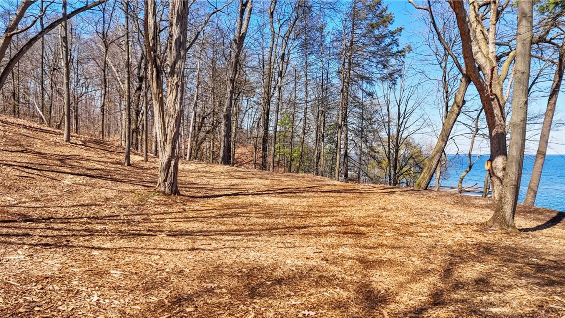 Property at 0 Elm Beach Road, Romulus, NY 14521 9