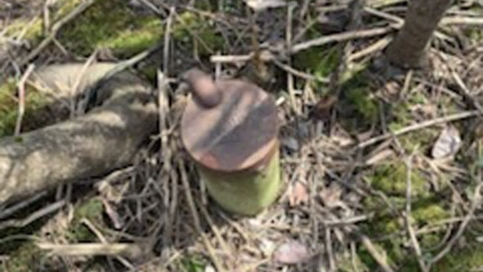 Property at Canton Street, Van Buren, NY 13164 4