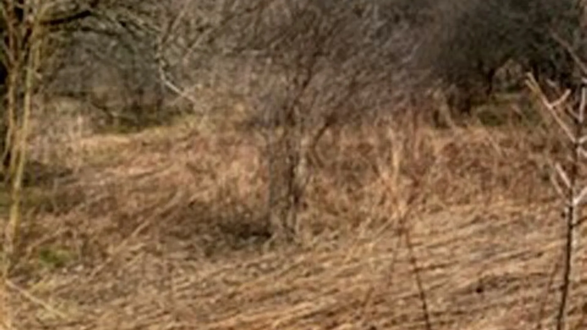 Property at Canton Street, Van Buren, NY 13164 5