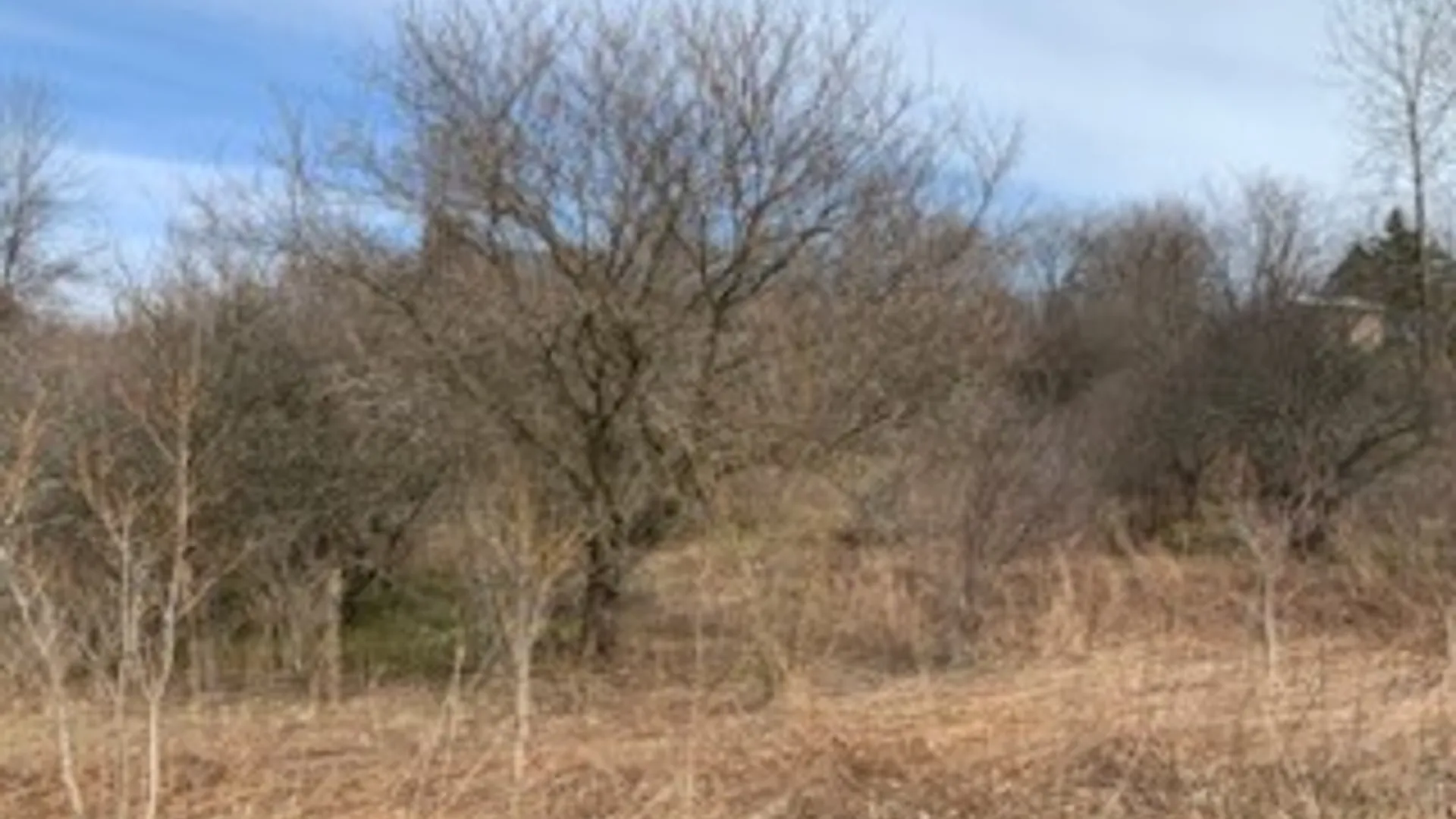 Property at Canton Street, Van Buren, NY 13164 7