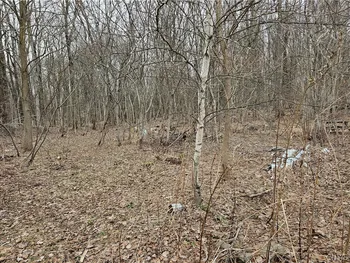 6985 Stearns Road, Floyd, NY 13440