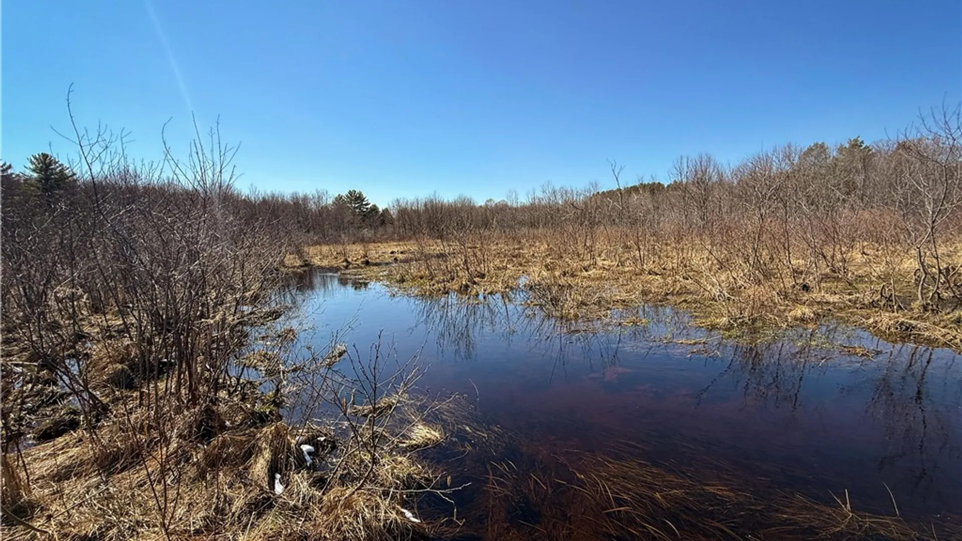 Property at 109 County Route 28, Albion, NY 13302 25