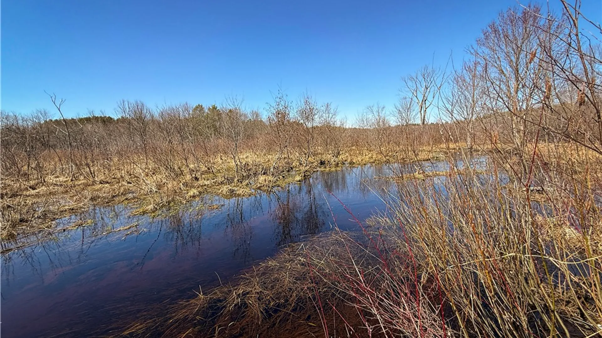 Property at 109 County Route 28, Albion, NY 13302 26