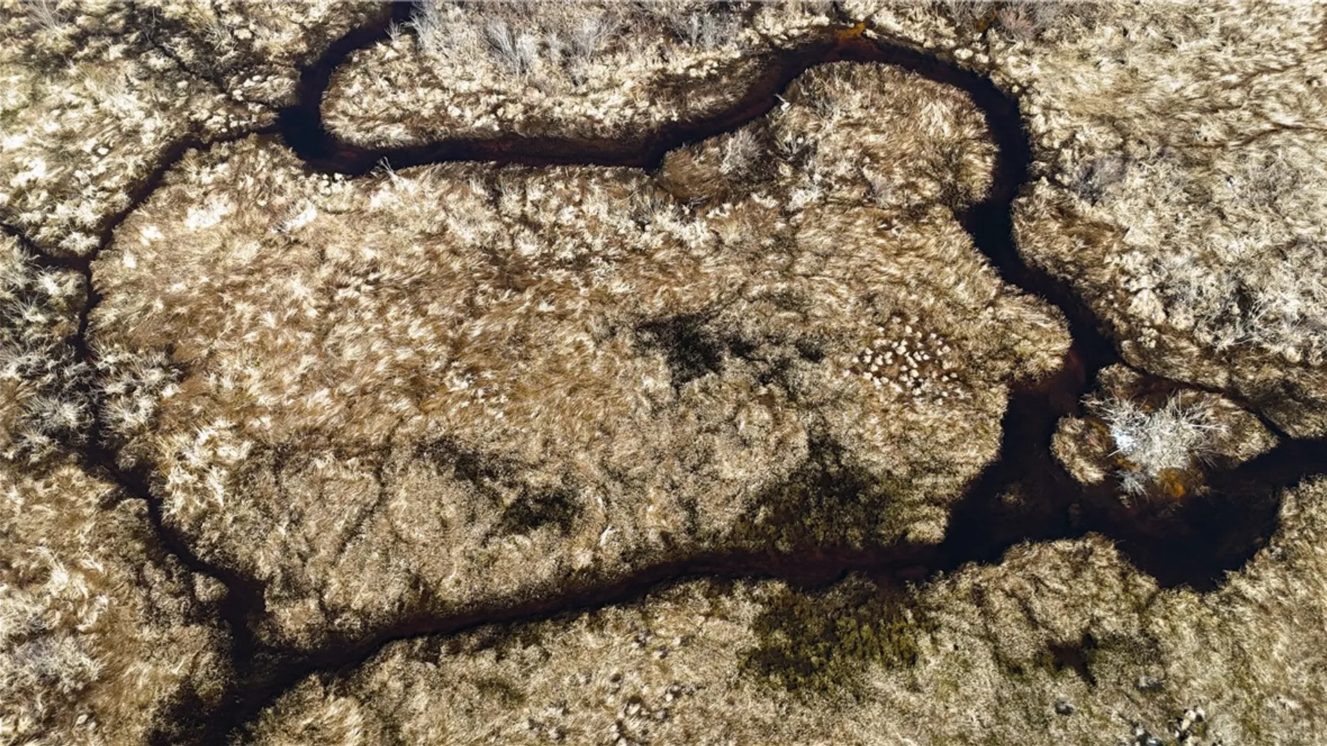 Property at 109 County Route 28, Albion, NY 13302 32