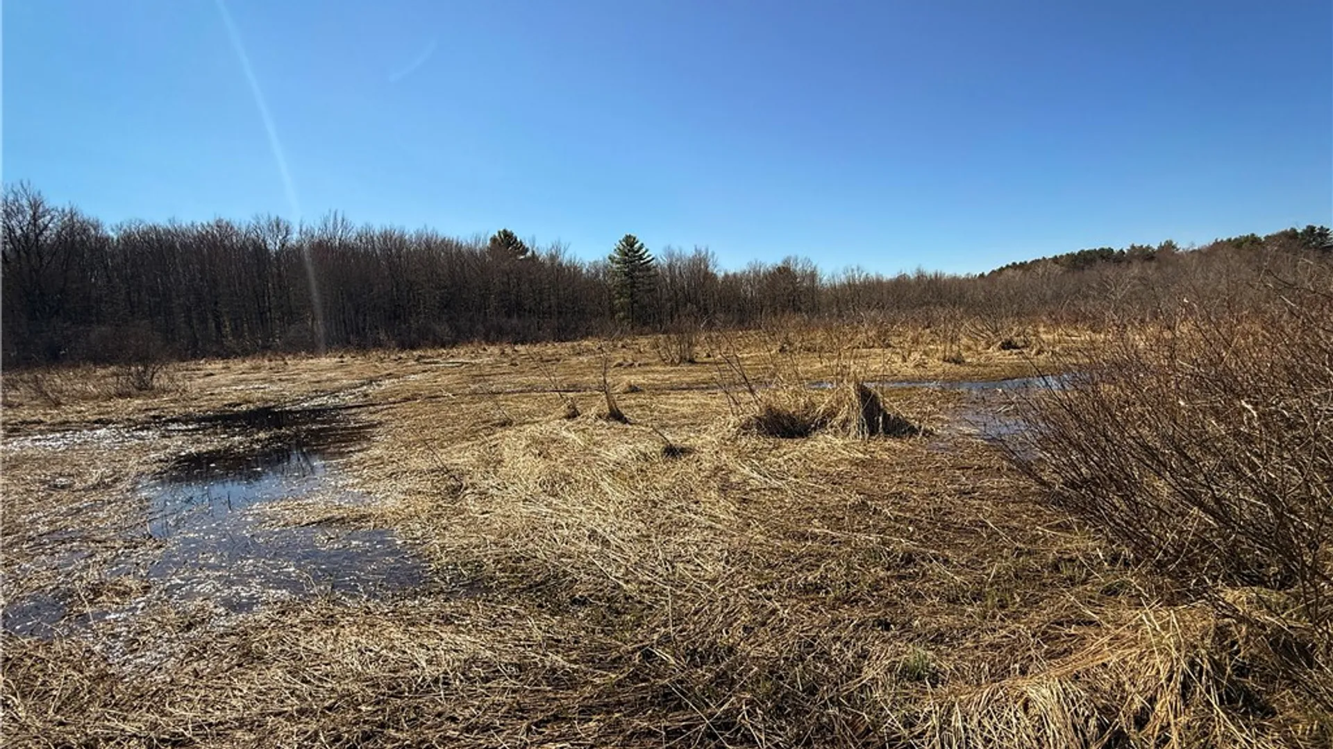 Property at 109 County Route 28, Albion, NY 13302 39