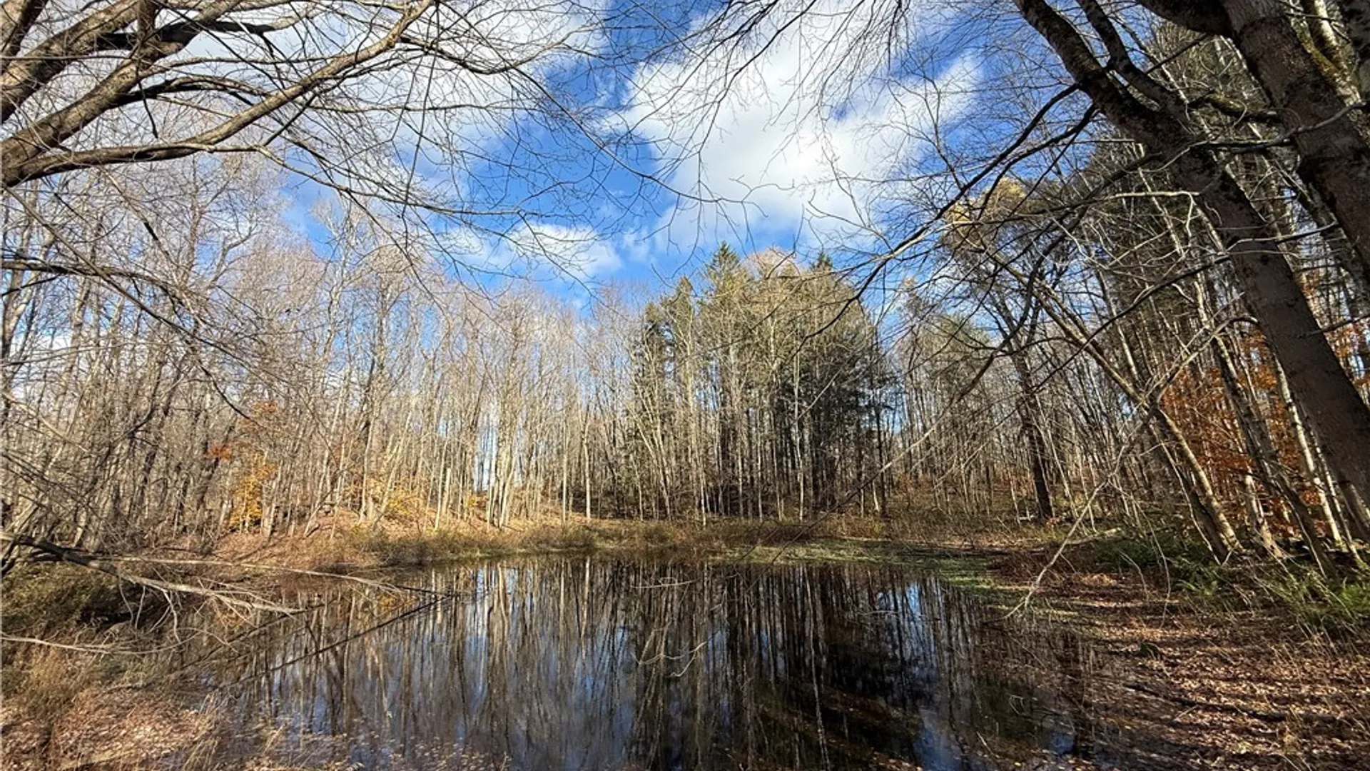 Property at Railroad Street, Parish, NY 13131 2