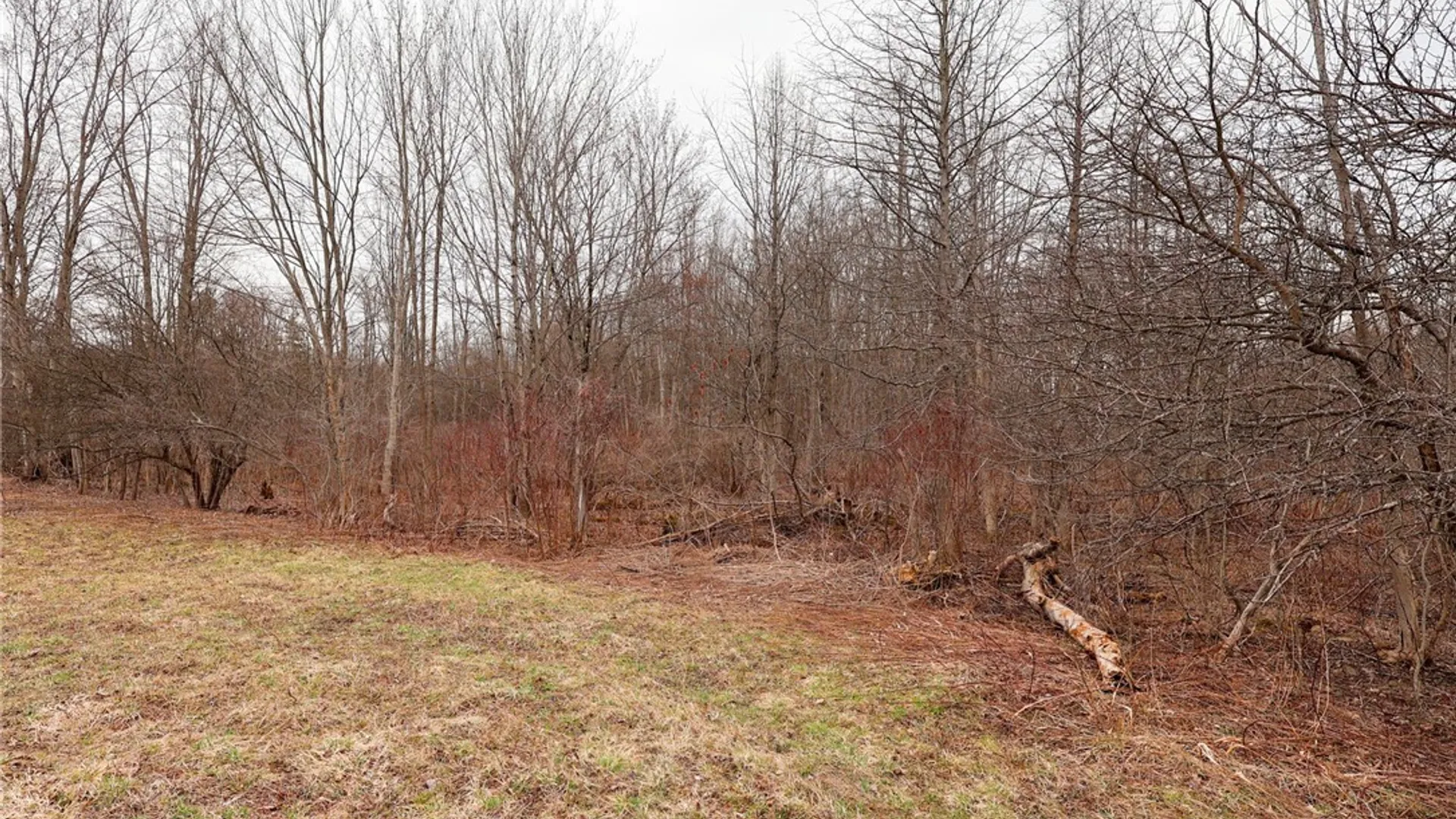 Property at Railroad Street, Parish, NY 13131 20
