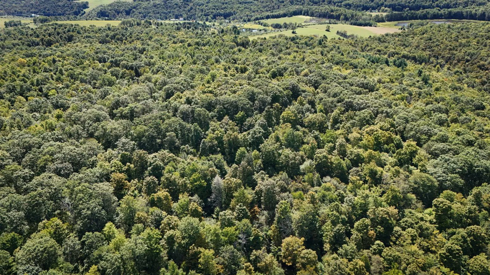 Property at 0 Cornell Hollow Road N/o, Owego, NY 13827 16