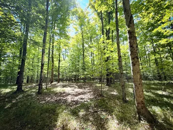 Property at 0 Cornell Hollow Road N/o, Owego, NY 13827