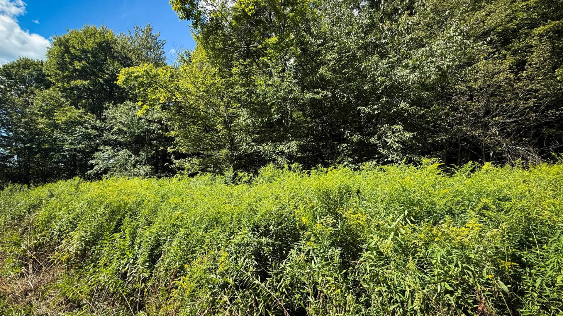 Property at 0 Cornell Hollow Road N/o, Owego, NY 13827 2