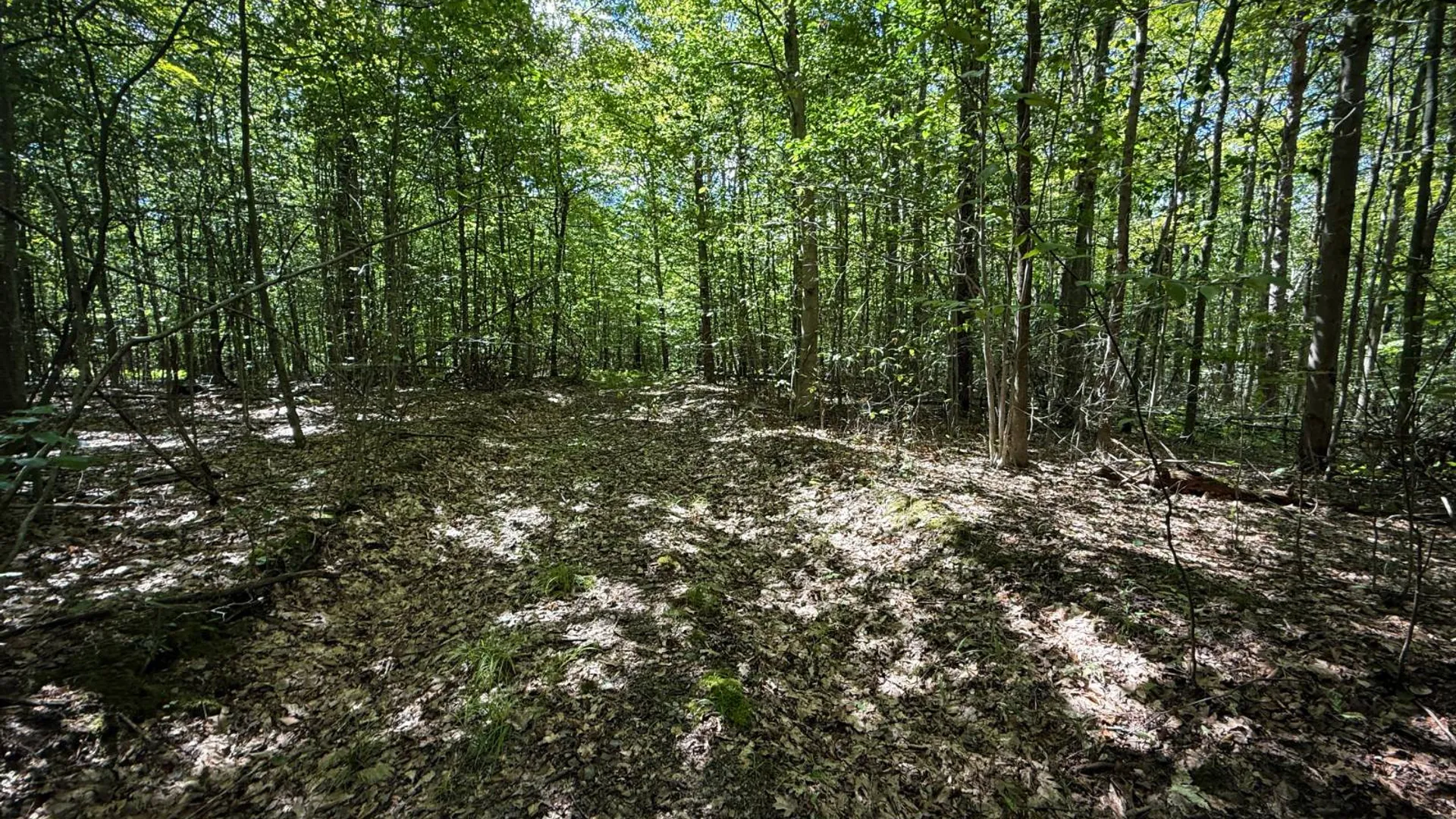 Property at 0 Cornell Hollow Road N/o, Owego, NY 13827 9